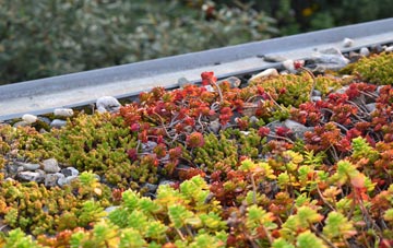 the cost of Clows Top green roof installation
